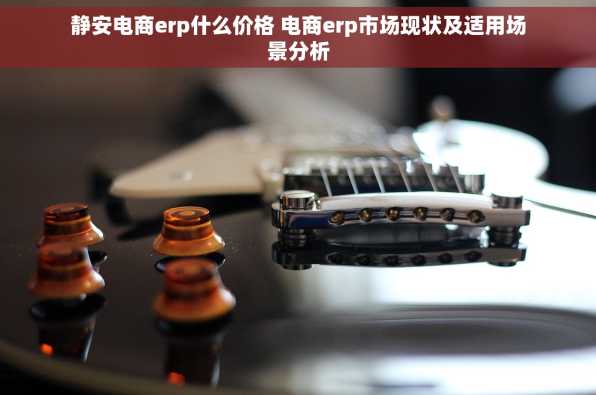 静安电商erp什么价格 电商erp市场现状及适用场景分析