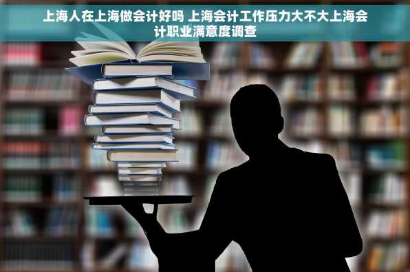 上海人在上海做会计好吗 上海会计工作压力大不大上海会计职业满意度调查