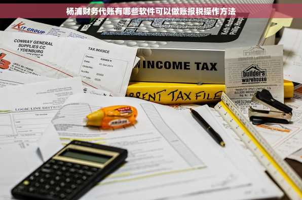杨浦财务代账有哪些软件可以做账报税操作方法
