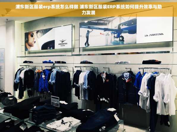 浦东新区服装erp系统怎么样做 浦东新区服装ERP系统如何提升效率与助力发展