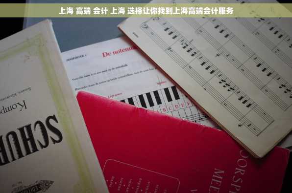 上海 高端 会计 上海 选择让你找到上海高端会计服务