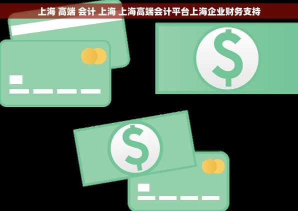 上海 高端 会计 上海 上海高端会计平台上海企业财务支持