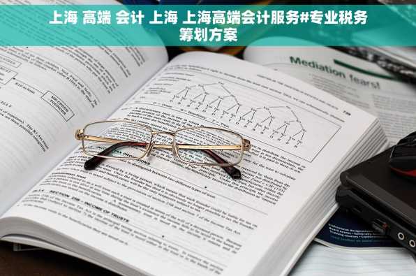 上海 高端 会计 上海 上海高端会计服务#专业税务筹划方案
