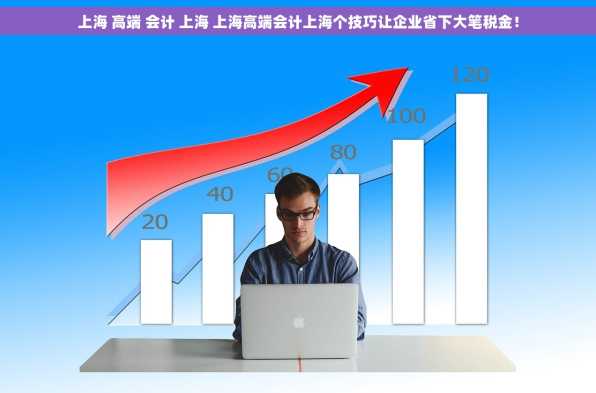 上海 高端 会计 上海 上海高端会计上海个技巧让企业省下大笔税金！