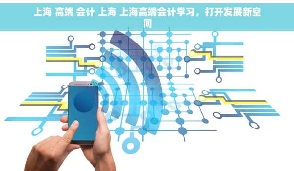 上海 高端 会计 上海 上海高端会计学习，打开发展新空间