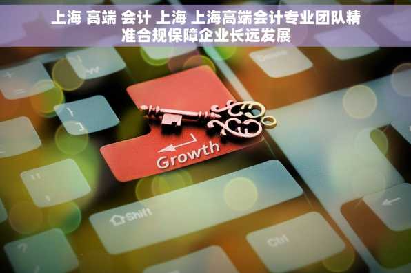 上海 高端 会计 上海 上海高端会计专业团队精准合规保障企业长远发展