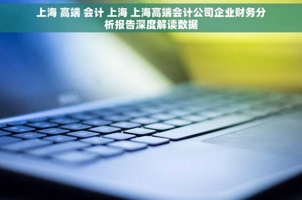 上海 高端 会计 上海 上海高端会计公司企业财务分析报告深度解读数据