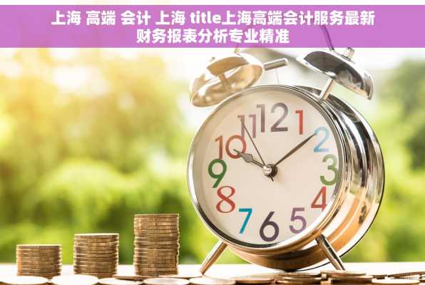 上海 高端 会计 上海 title上海高端会计服务最新财务报表分析专业精准