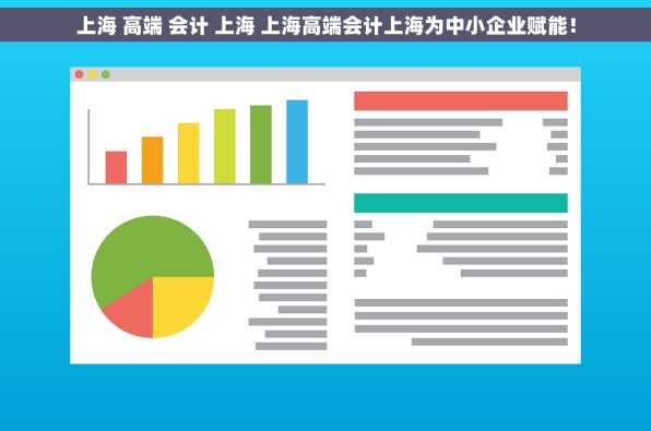 上海 高端 会计 上海 上海高端会计上海为中小企业赋能！