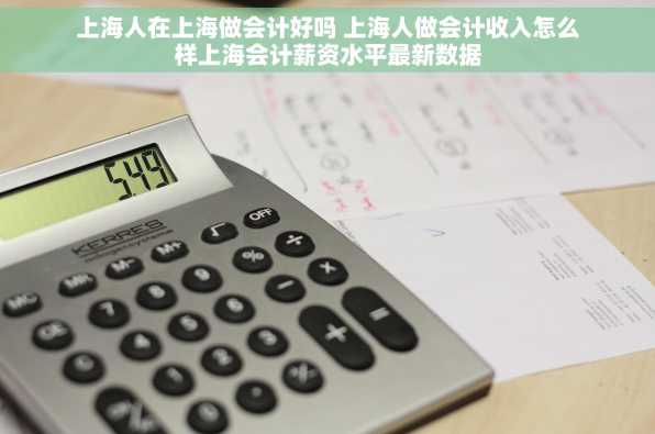 上海人在上海做会计好吗 上海人做会计收入怎么样上海会计薪资水平最新数据
