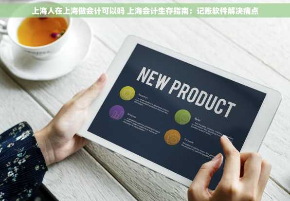 上海人在上海做会计可以吗 上海会计生存指南：记账软件解决痛点