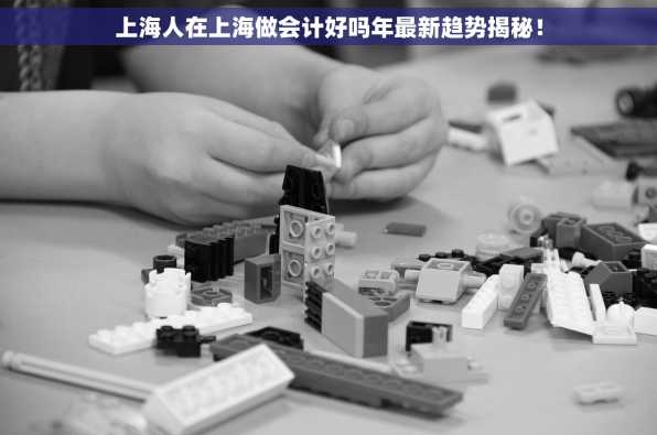 上海人在上海做会计好吗年最新趋势揭秘！