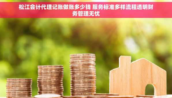 松江会计代理记账做账多少钱 服务标准多样流程透明财务管理无忧