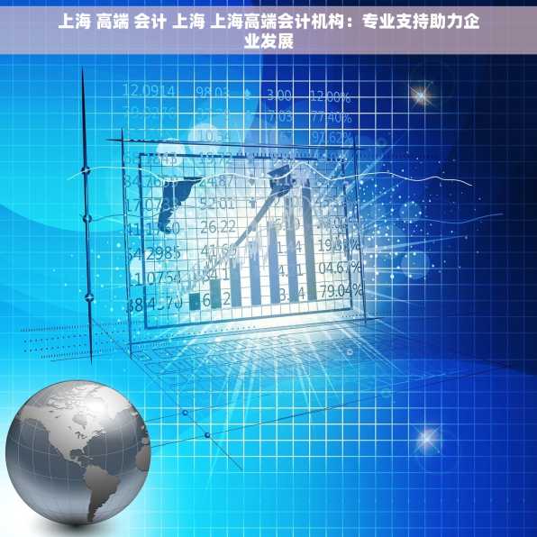 上海 高端 会计 上海 上海高端会计机构：专业支持助力企业发展