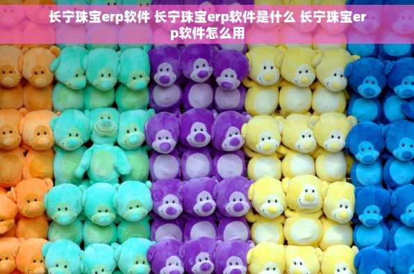 长宁珠宝erp软件 长宁珠宝erp软件是什么 长宁珠宝erp软件怎么用