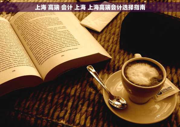 上海 高端 会计 上海 上海高端会计选择指南
