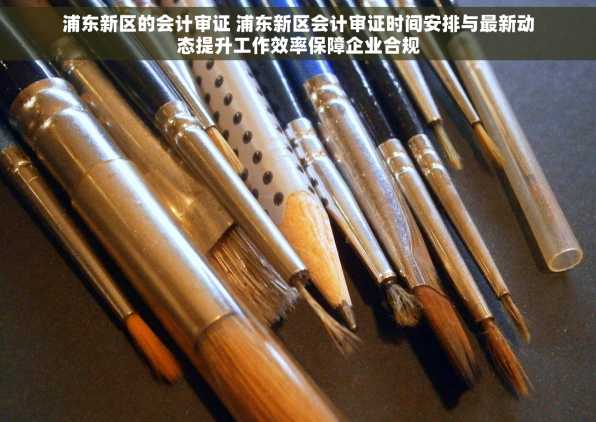 浦东新区的会计审证 浦东新区会计审证时间安排与最新动态提升工作效率保障企业合规
