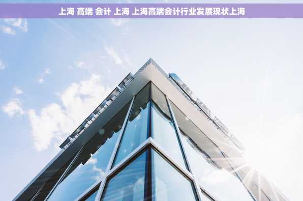 上海 高端 会计 上海 上海高端会计行业发展现状上海