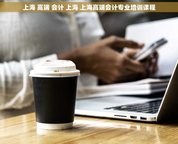 上海 高端 会计 上海 上海高端会计专业培训课程