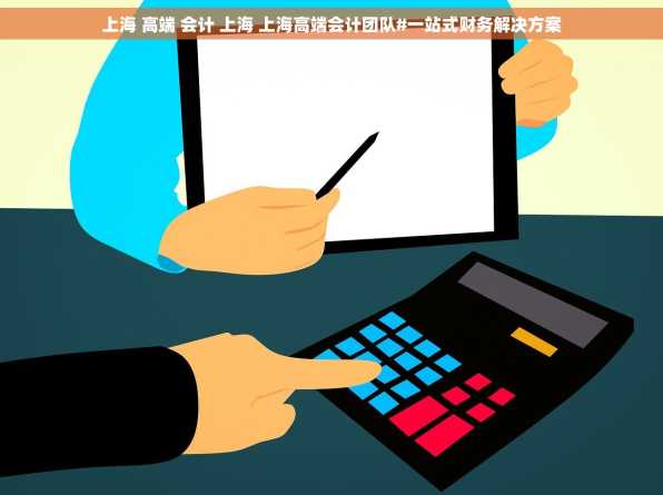 上海 高端 会计 上海 上海高端会计团队#一站式财务解决方案