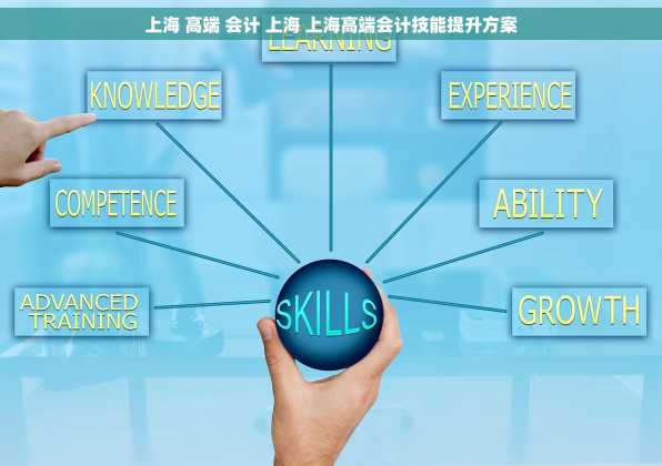 上海 高端 会计 上海 上海高端会计技能提升方案
