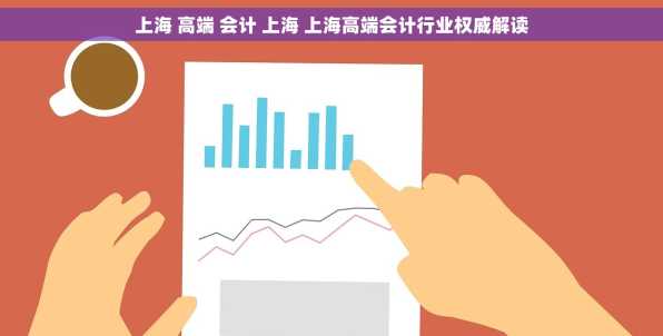 上海 高端 会计 上海 上海高端会计行业权威解读