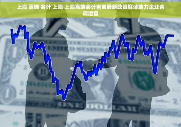 上海 高端 会计 上海 上海高端会计咨询最新政策解读助力企业合规运营