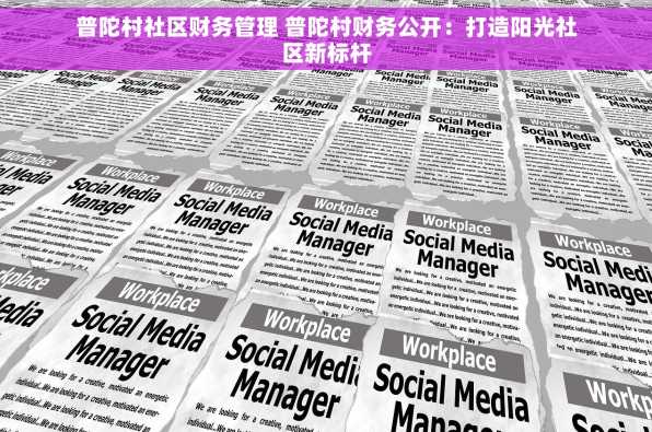普陀村社区财务管理 普陀村财务公开：打造阳光社区新标杆