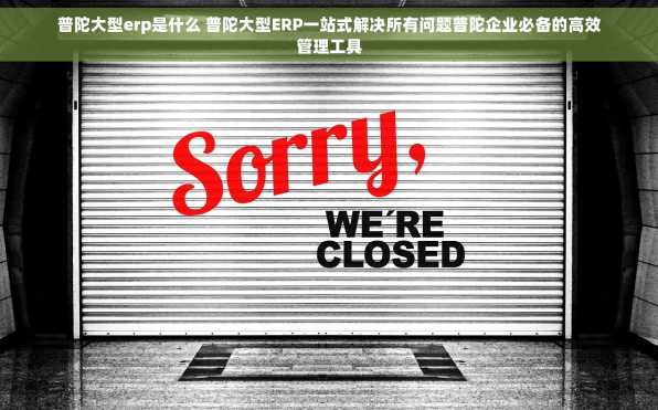 普陀大型erp是什么 普陀大型ERP一站式解决所有问题普陀企业必备的高效管理工具