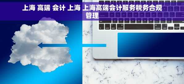 上海 高端 会计 上海 上海高端会计服务税务合规管理