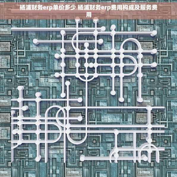 杨浦财务erp单价多少 杨浦财务erp费用构成及服务费用