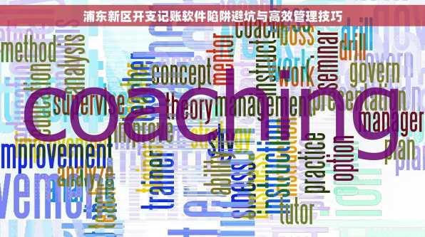 浦东新区开支记账软件陷阱避坑与高效管理技巧