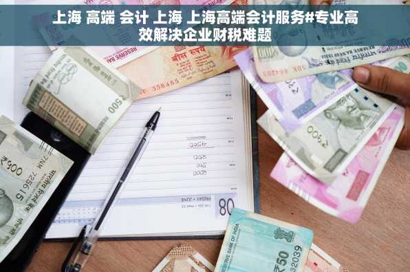 上海 高端 会计 上海 上海高端会计服务#专业高效解决企业财税难题