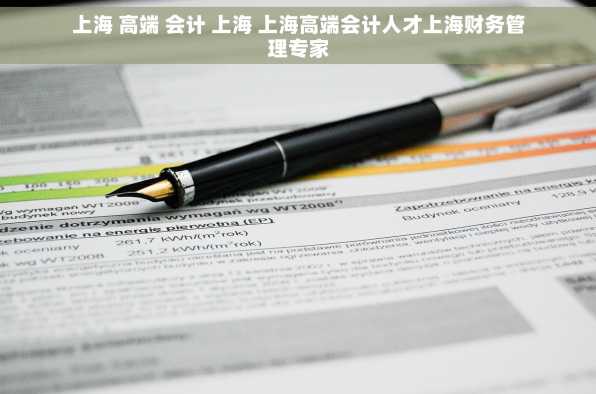 上海 高端 会计 上海 上海高端会计人才上海财务管理专家