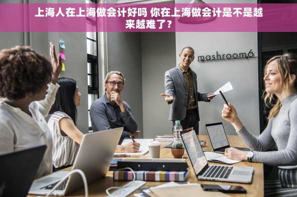 上海人在上海做会计好吗 你在上海做会计是不是越来越难了？