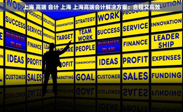 上海 高端 会计 上海 上海高端会计解决方案：合规又高效