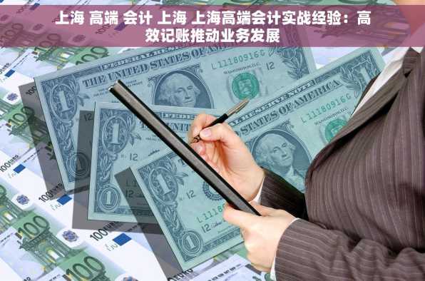 上海 高端 会计 上海 上海高端会计实战经验：高效记账推动业务发展