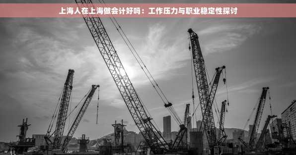 上海人在上海做会计好吗：工作压力与职业稳定性探讨