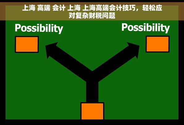 上海 高端 会计 上海 上海高端会计技巧，轻松应对复杂财税问题