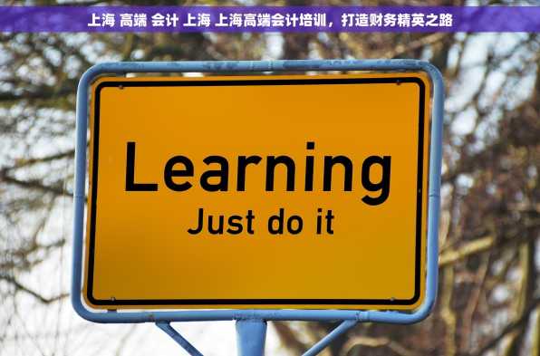 上海 高端 会计 上海 上海高端会计培训，打造财务精英之路