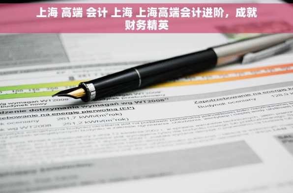 上海 高端 会计 上海 上海高端会计进阶，成就财务精英