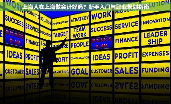 上海人在上海做会计好吗？新手入门与职业规划指南