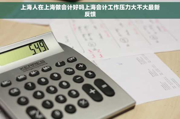 上海人在上海做会计好吗上海会计工作压力大不大最新反馈