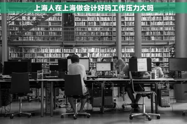 上海人在上海做会计好吗工作压力大吗