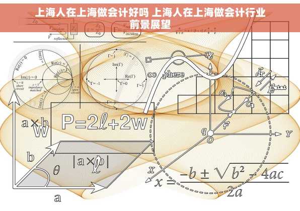 上海人在上海做会计好吗 上海人在上海做会计行业前景展望
