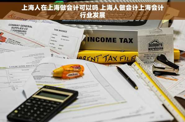 上海人在上海做会计可以吗 上海人做会计上海会计行业发展