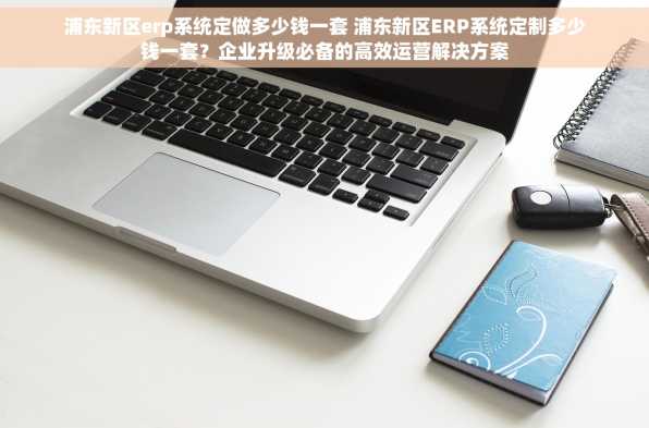浦东新区erp系统定做多少钱一套 浦东新区ERP系统定制多少钱一套？企业升级必备的高效运营解决方案