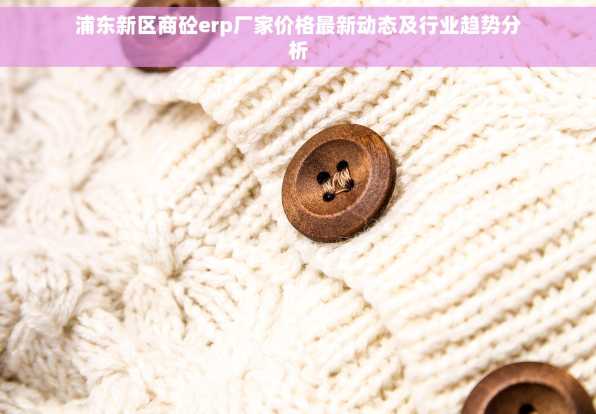 浦东新区商砼erp厂家价格最新动态及行业趋势分析