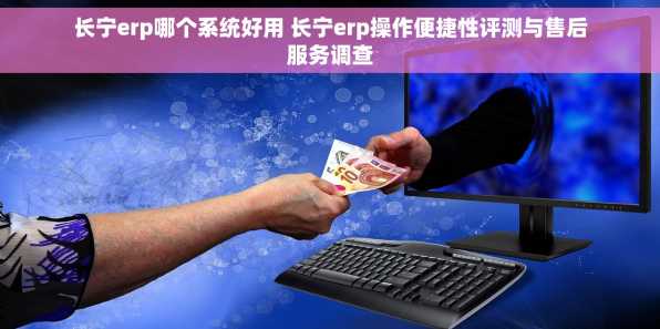 长宁erp哪个系统好用 长宁erp操作便捷性评测与售后服务调查