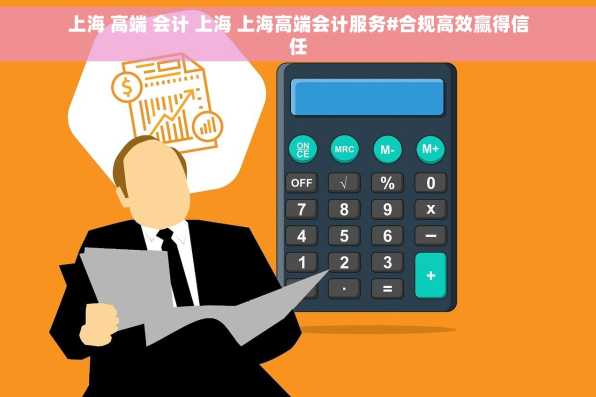 上海 高端 会计 上海 上海高端会计服务#合规高效赢得信任